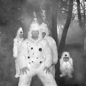 Coil - List pictures