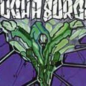 Such A Surge - List pictures