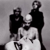 Siouxie - List pictures