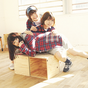 Negicco - List pictures