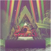 Vinyl Williams - List pictures