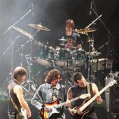 Jaguares - List pictures