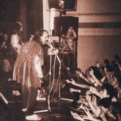 Root - List pictures