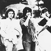 The 13th Floor Elevators - List pictures