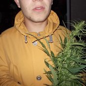 Newark - List pictures