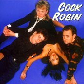 Cock Robin - List pictures