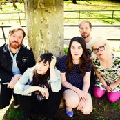 Field Mouse - List pictures