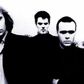 Auteurs - List pictures