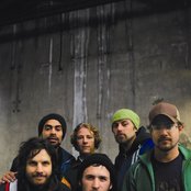 The Black Seeds - List pictures