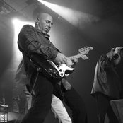 Iris - List pictures