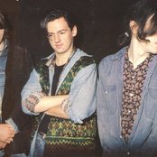 Talk Talk - List pictures