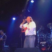 Elephant - List pictures