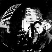 The Features - List pictures