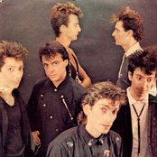 Virus - List pictures