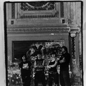 The Distillers - List pictures