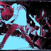 The Muffs - List pictures