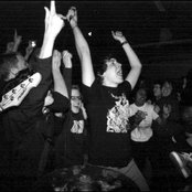 Orchid - List pictures