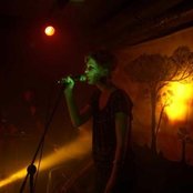 Zebra - List pictures