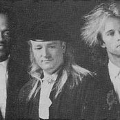 Vector - List pictures