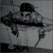 Shining - List pictures