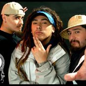 Tiro De Gracia - List pictures