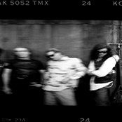 Flipper - List pictures