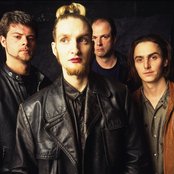 Mad Season - List pictures