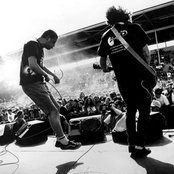 Seaweed - List pictures