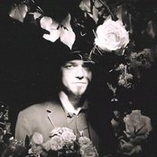 Morgan - List pictures