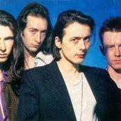 The London Suede - List pictures