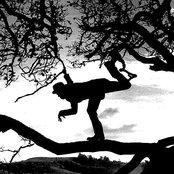 Tom Waits - List pictures