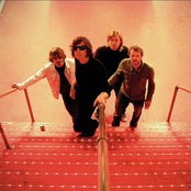 Moss - List pictures