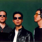 Moenia - List pictures