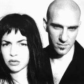 Elysian Fields - List pictures