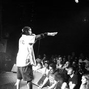 Masta Ace - List pictures