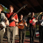 Foals - List pictures