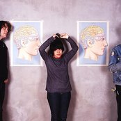 Screaming Females - List pictures