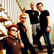 Nicotine - List pictures