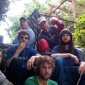 The Bees - List pictures