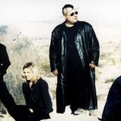 Tito & Tarantula - List pictures