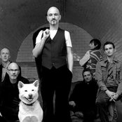 James - List pictures