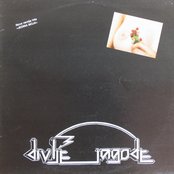 Divlje Jagode - List pictures