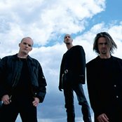 Megaherz - List pictures