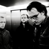 Disillusion - List pictures