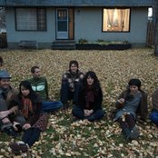 Woodpigeon - List pictures