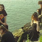 The Cranes - List pictures