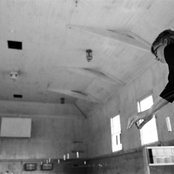 Ellen Fullman - List pictures