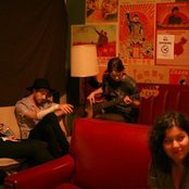 The Veils - List pictures