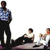 Ness - List pictures