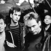 Cutting Crew - List pictures